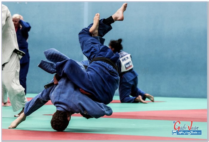 STAGE JUDO MADRID 14 00111